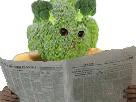 :brocoli_journal: