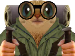 :chatrandonnee: