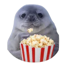 :phoquepopcorn: