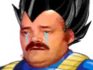 :vegeta_pleure: