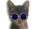 :chaton_redpill_: