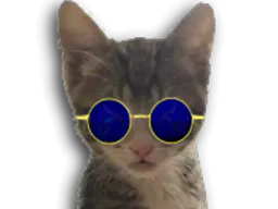 :chaton_redpill_: