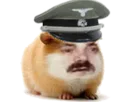:Hamster_soldat: