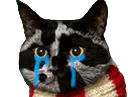 :Triss-Pleure:
