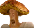 :Champicrie: