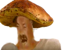 :Champicrie: