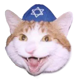 :chalom: