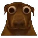 :teddibigeyes: