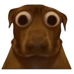 :teddibigeyes: