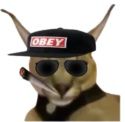 :Igoed_bedo: