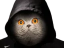 :chat_capuche: