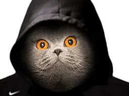 :chat_capuche: