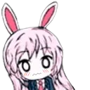 :Pizzashy:
