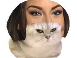 :mariachat: