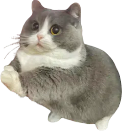 :Chappuie: