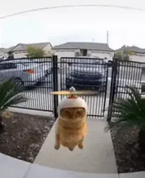 :chatcopter: