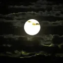 NUIT-
