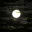 Photo de profil de NUIT-