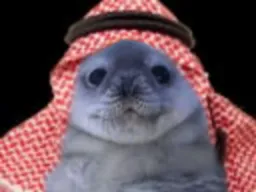 :PhoqueSaoudien: