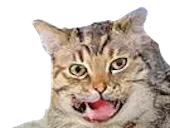 :seum: