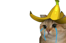 :sodium_banane: