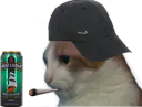 :Nestaracaille: