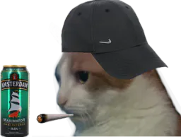 :Nestaracaille: