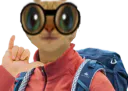 :Chat_incel: