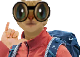 :Chat_incel: