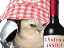 :chatissou:
