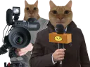 :journaliste: