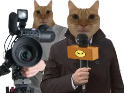 :journaliste: