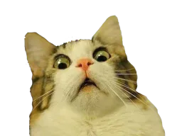 :chat_choc_: