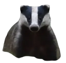 :test13: