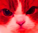:chat-rageux4: