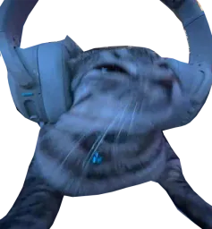 :cs_casque: