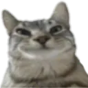 :Chathihi: