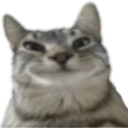 :Chathihi: