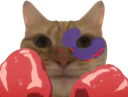 :chat_boxe2: