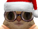 :chatlunettesnoel: