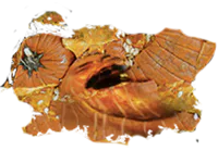 :citrouille_ecrase: