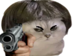 :Flingue_chat: