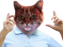 :ChatZoomLoco: