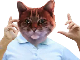 :ChatZoomLoco: