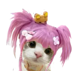 :Chat_galrose: