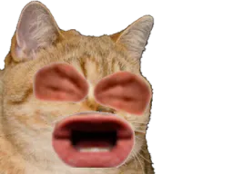 :sodium_eussou: