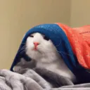 :zou: