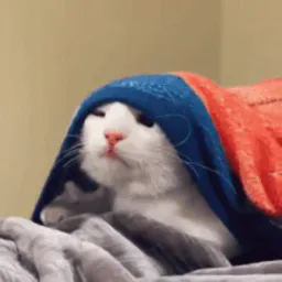 :zou: