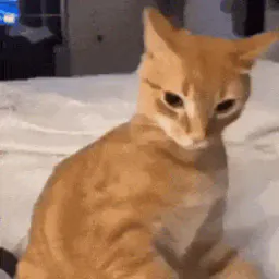 :chat_destruction: