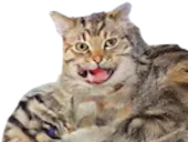 :aza: